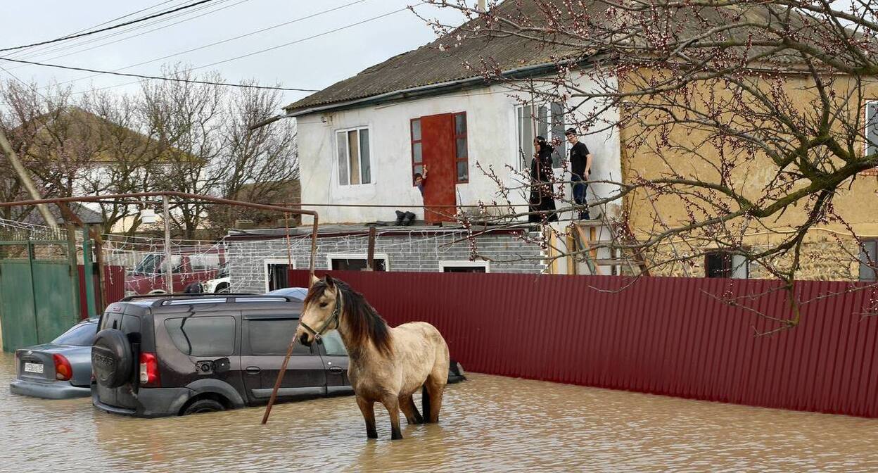 Наводнение в Дагестане. Фото: Правительство Дагестана / Telegram Наводнение в Дагестане. Фото: Правительство Дагестана / Telegram