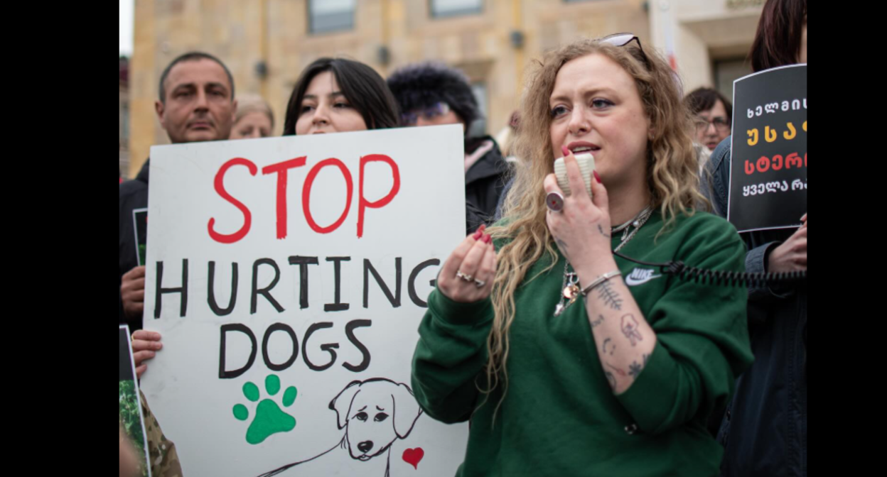 Акция протеста в Тбилиси. Скриншот фото Publika от 04.03.26, https://www.facebook.com/photo/?fbid=1723744409025102&set=pb.100041686795244.-2207520000 (деятельность компании Meta, владеюще