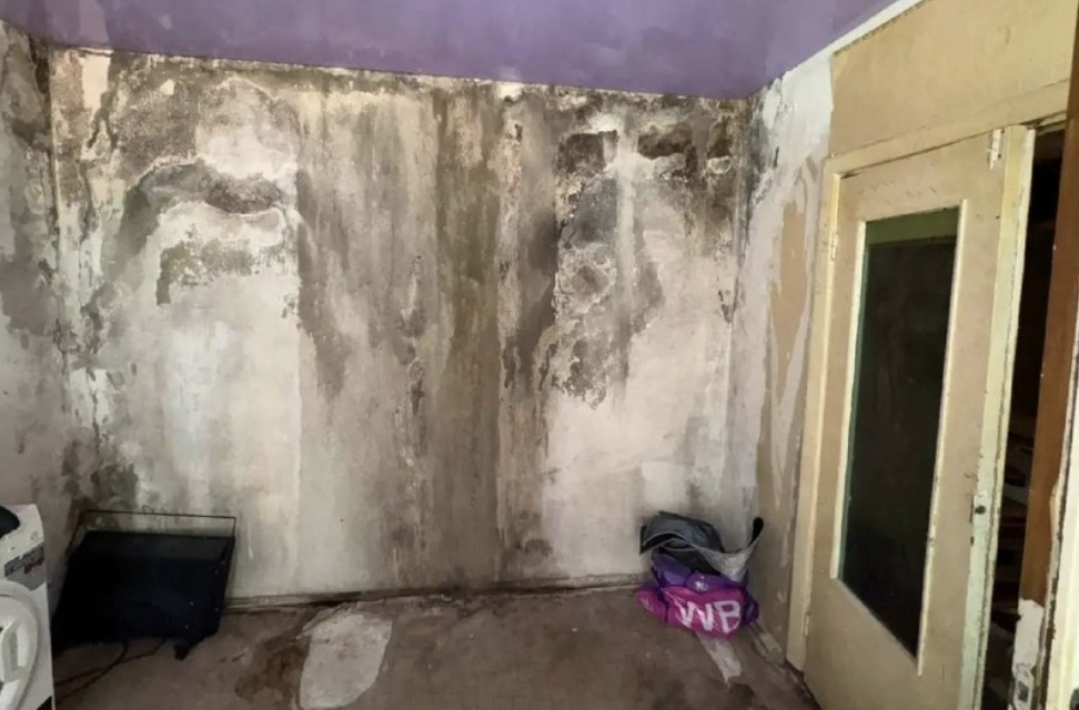 Фото: kbr.sledcom / Telegram