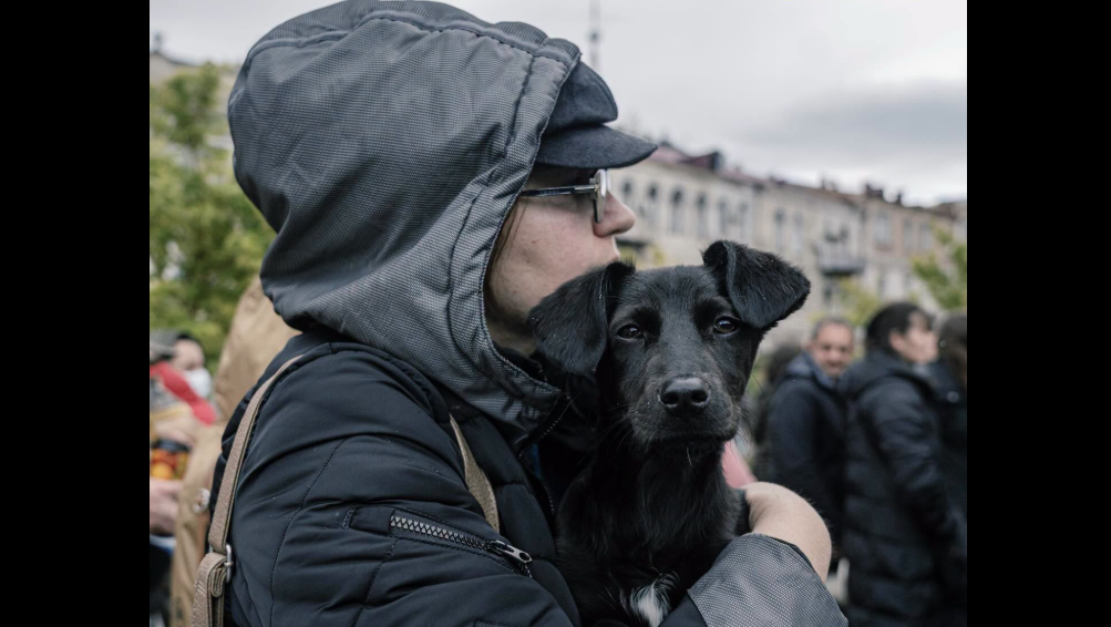 Участники акции у канцелярии Грузии. Скриншот фото Publika