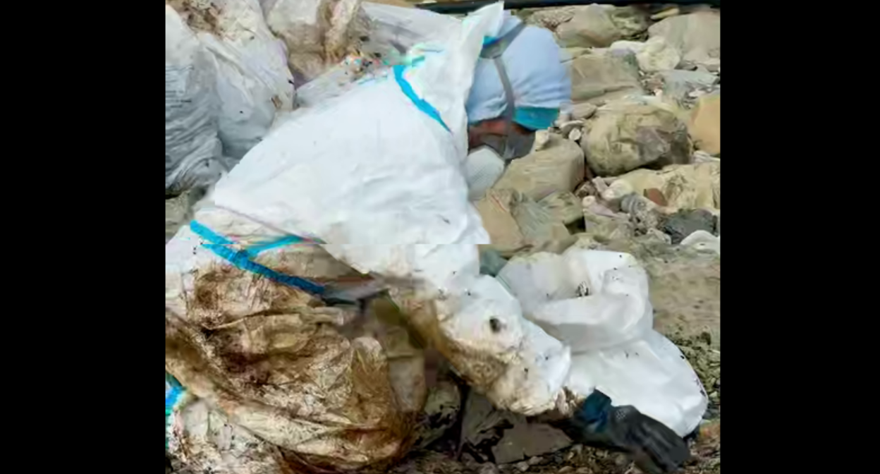 Волонтер убирает пляж в поселке Тюменский. Стоп-кадр видео https://t.me/my_tuapse/34989 от 02.05.26.