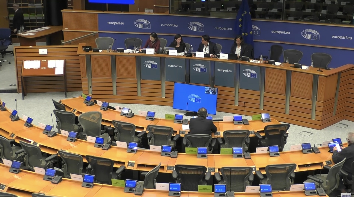 Слушания в подкомитете по правам человека Европейского парламента. Кадр видео Açıq Azərbaycan / YouTube Слушания в подкомитете по правам человека Европейского парламента. Кадр видео Açıq Azərbaycan / YouTube