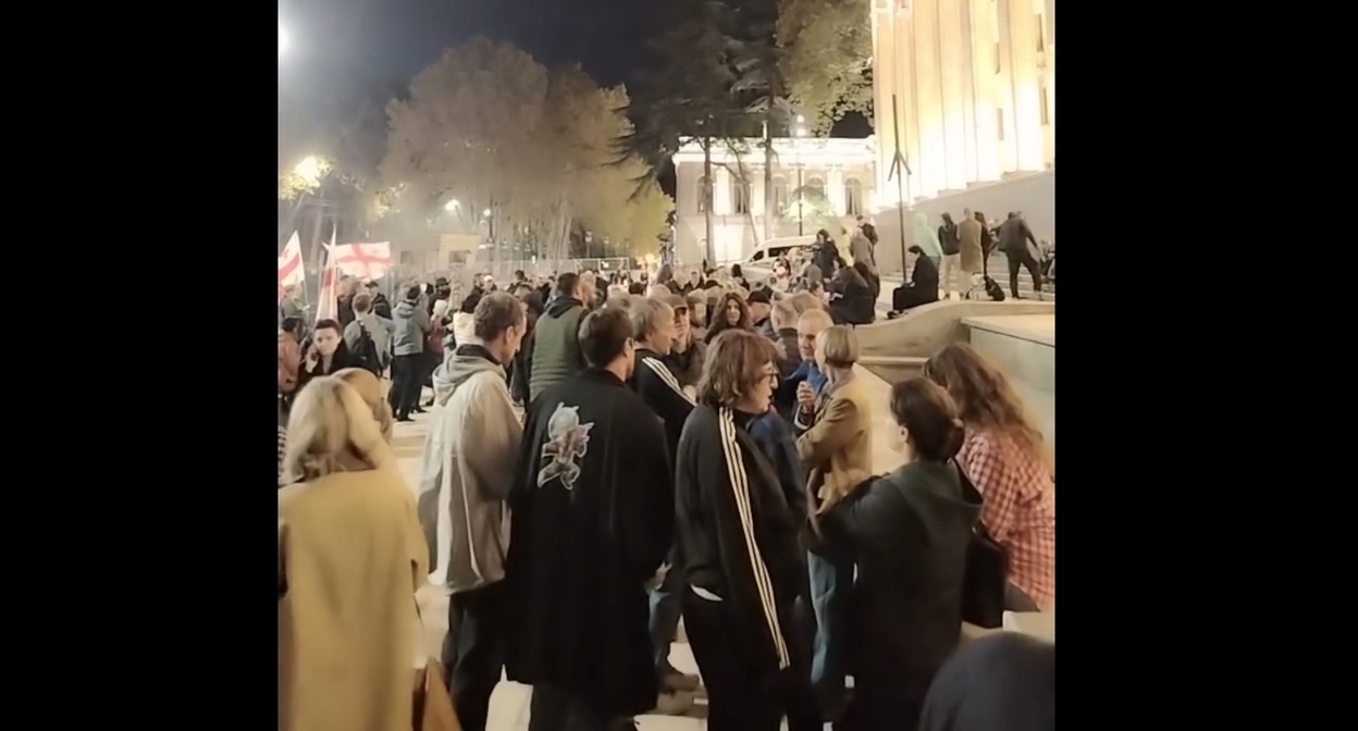 Протестующие у парламента Грузии. Кадр видео Giorgi Mumladze Протестующие у парламента Грузии. Кадр видео Giorgi Mumladze