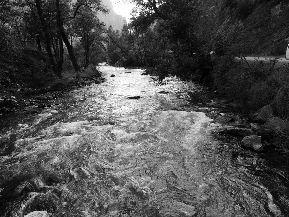 р.Тер-тер. Черно-белый снимок. р.Тер-тер. Черно-белый снимок.