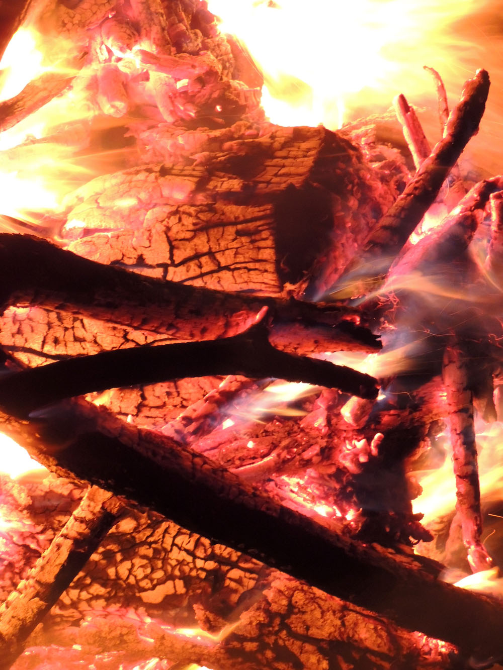 Огонь поглощает ветки и дрова. Огонь поглощает ветки и дрова.