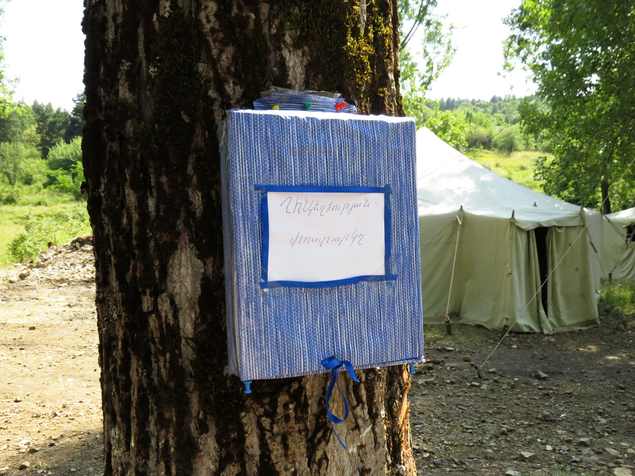 На одном из дерревьев висел этот ящик На одном из дерревьев висел этот ящик