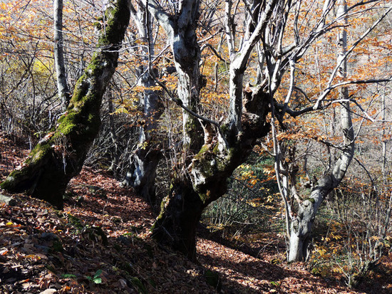 Спускаюсь к речке... Спускаюсь к речке...