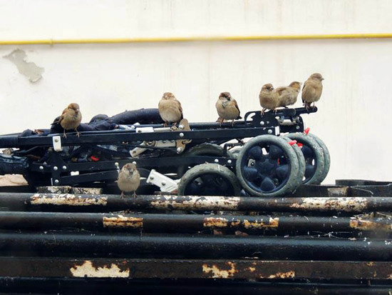 Фото сделано в Гадруте, в декабре 2013 года. Фото сделано в Гадруте, в декабре 2013 года.