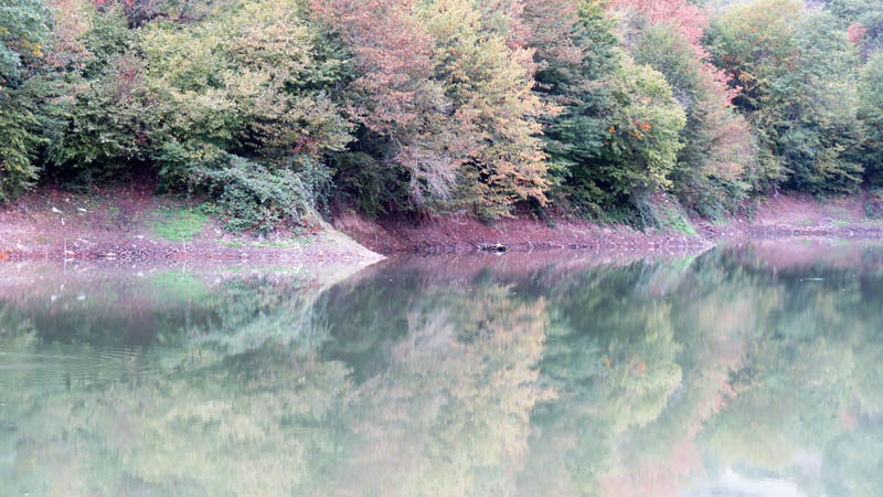 Разноцыеиные отражения в воде. Разноцыеиные отражения в воде.