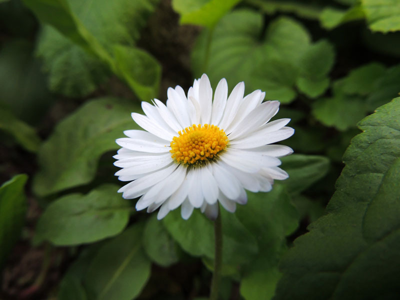 Фотоподборка - 3. Фотоподборка - 3.