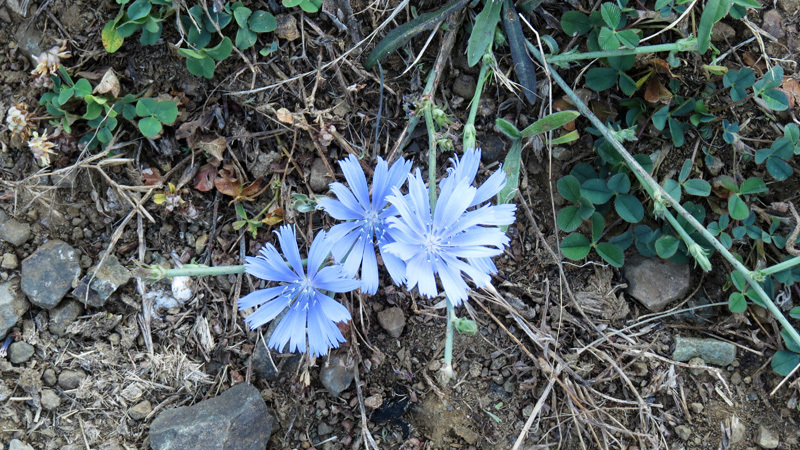 Зарисовка 10.