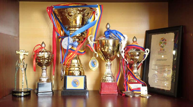 Часть спортивных призов Артура и Арсена.